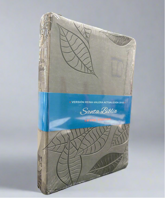 RVA Santa Biblia