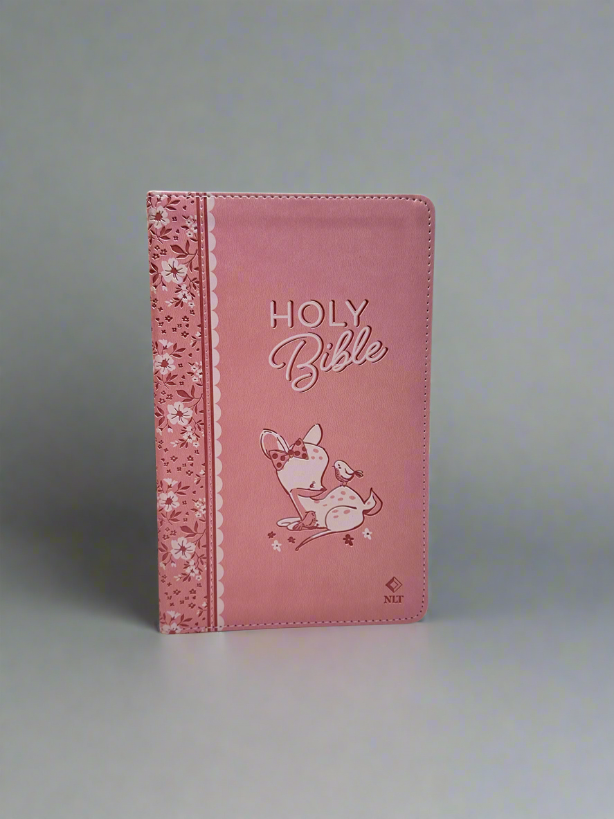 NLT Holy Bible