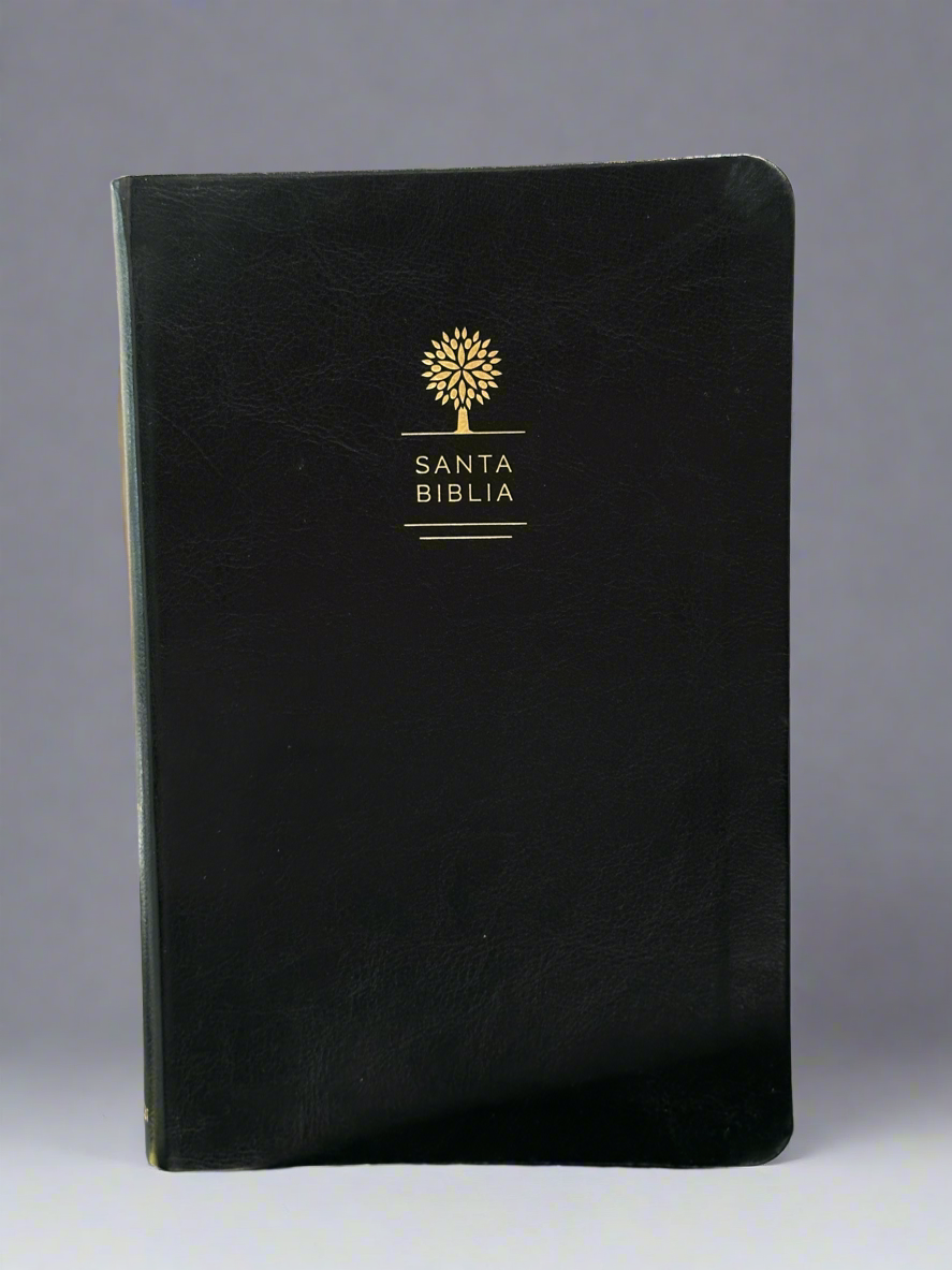 Santa Biblia Letra Grande
