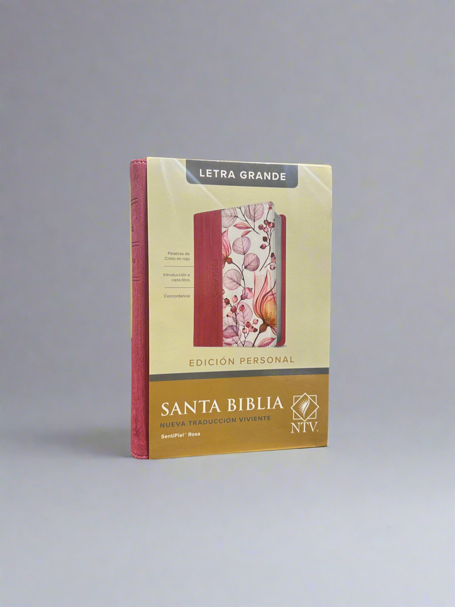 Santa Biblia Letra Grande