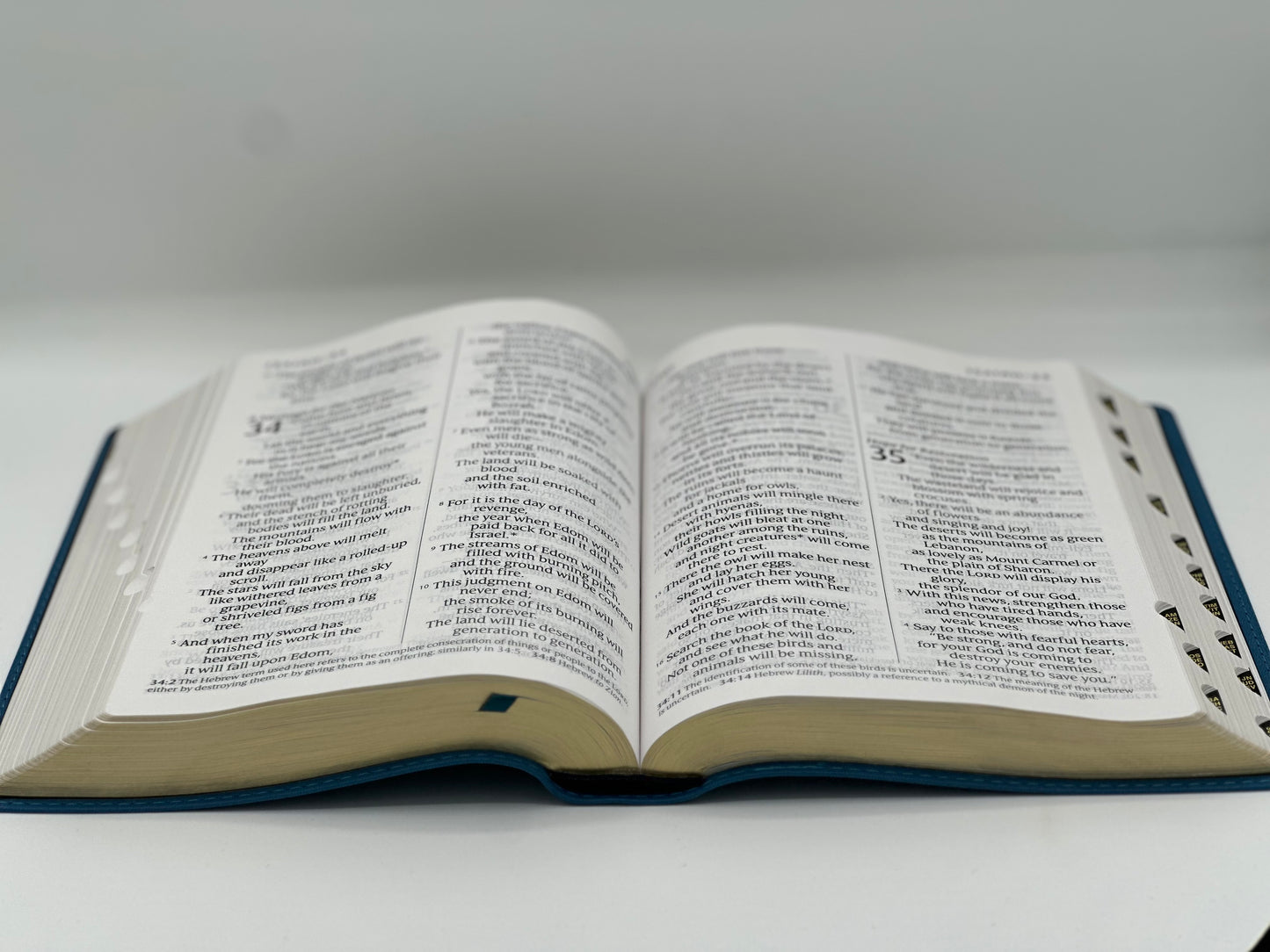 NLT Giant Print Edition Holy Spirit