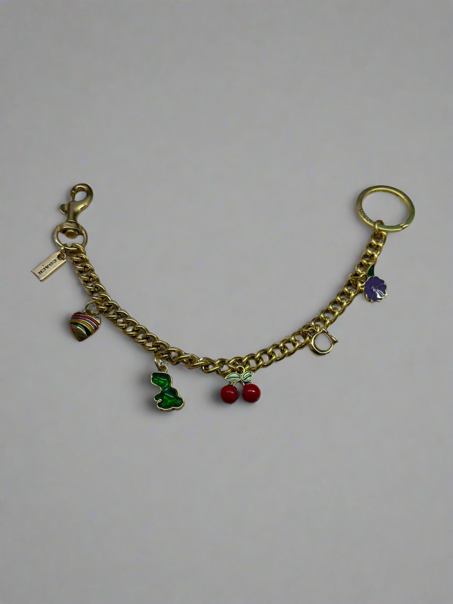 Bag Chain