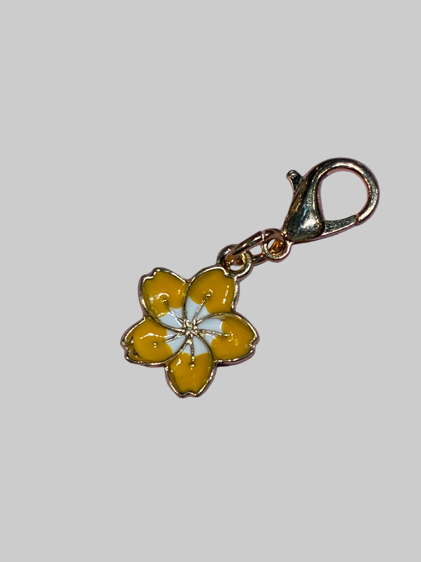 Keychain Charm