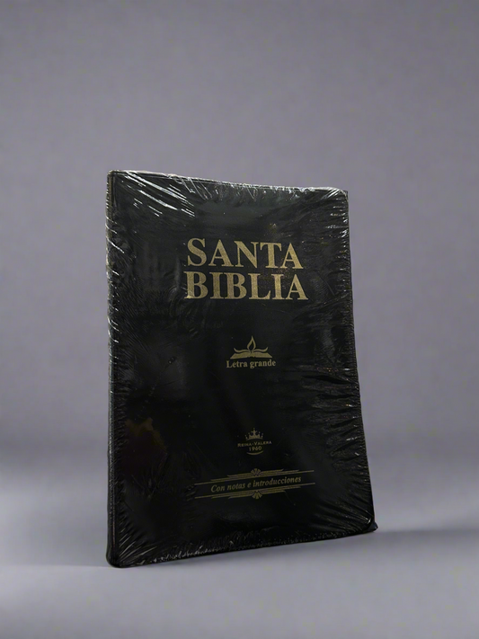RV Santa Biblia 1960