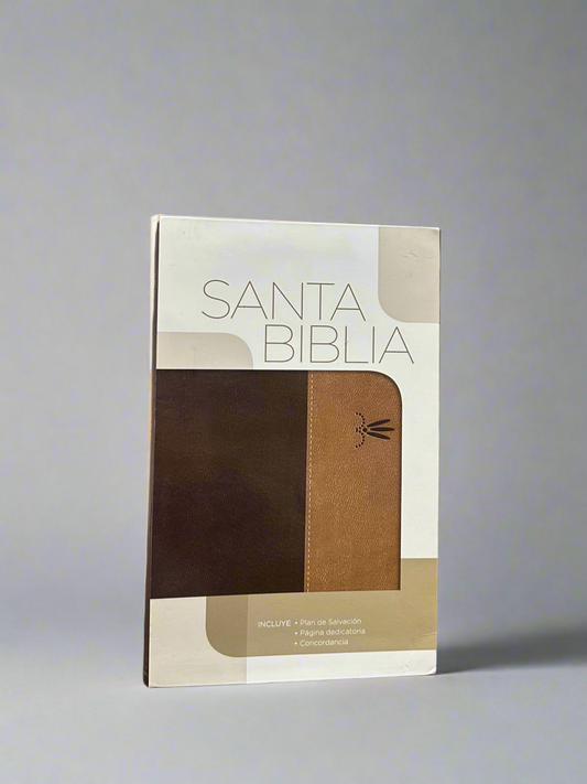 RV Santa Biblia