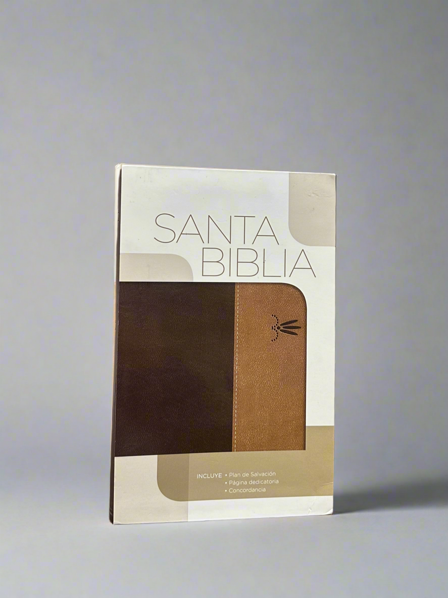 RV Santa Biblia