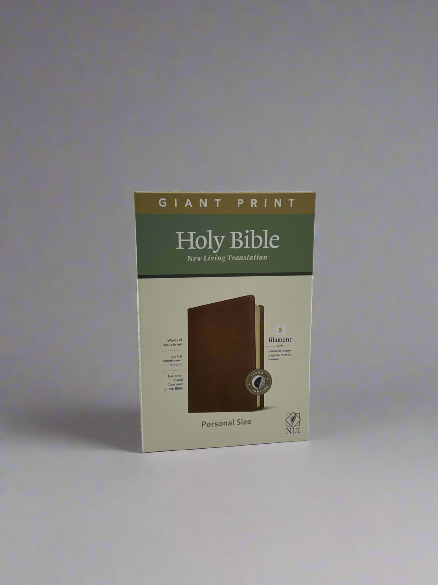 NLT Holy Bible Giant print