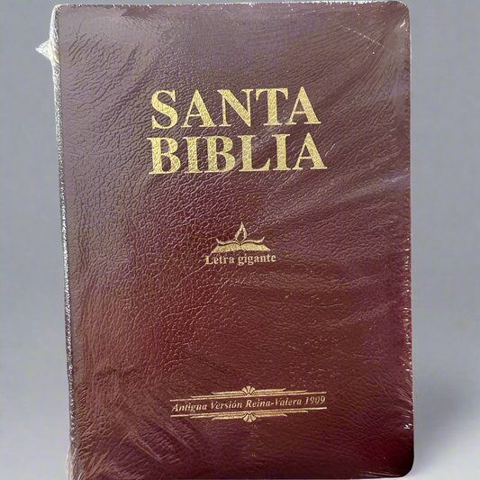 RV Santa Biblia 1909