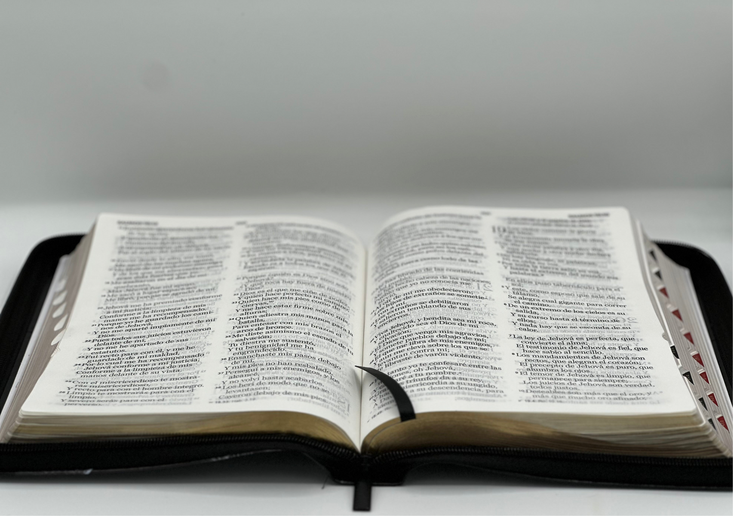 RV Santa Biblia Letra Súper Gigante