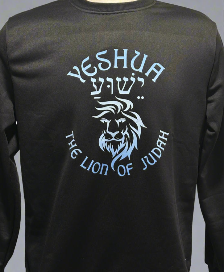 Yeshua The Lion of Judah hoodie