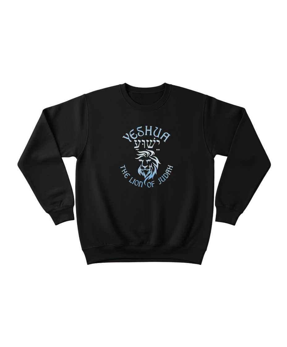 Yeshua The Lion of Judah hoodie