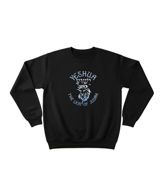 Yeshua The Lion of Judah hoodie