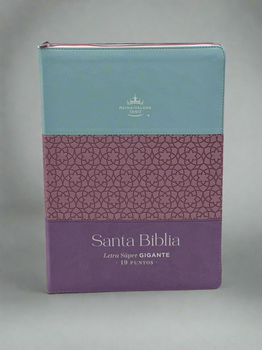 RVR 1960 Santa Biblia