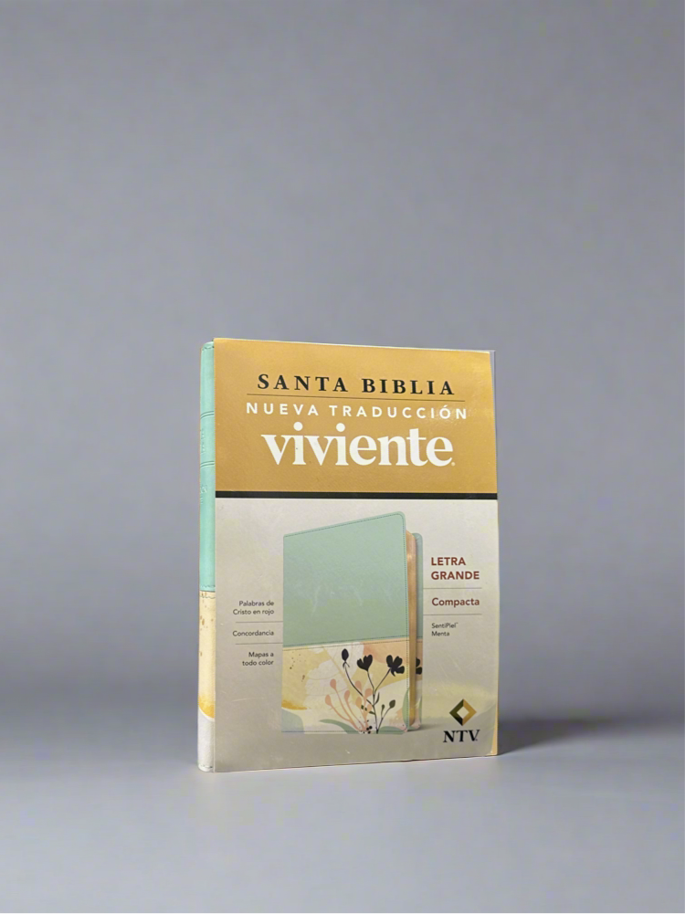 Santa Biblia Letra Grande