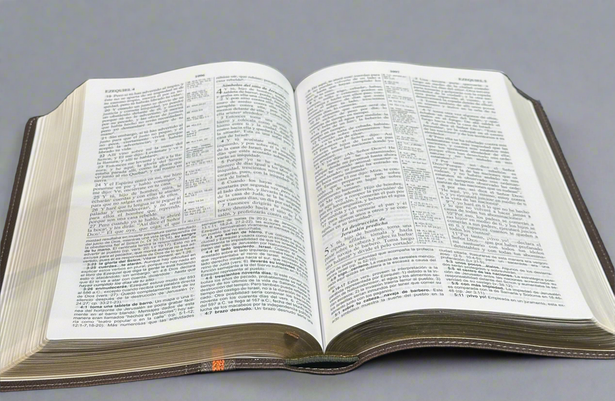 LBLA Biblia De Estudio