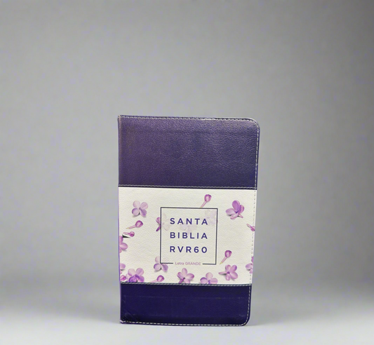 RV 1960 Santa Biblia