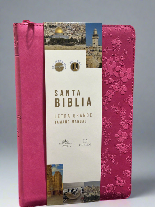 Santa Biblia Letra Grande