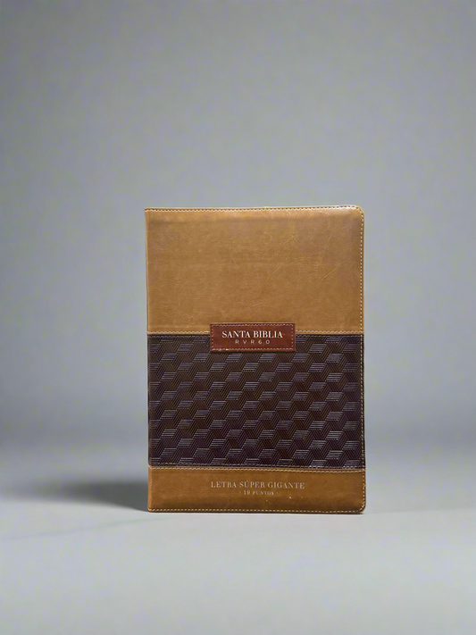 RVR 1960 Santa Biblia