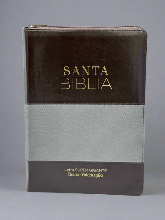 Santa Biblia