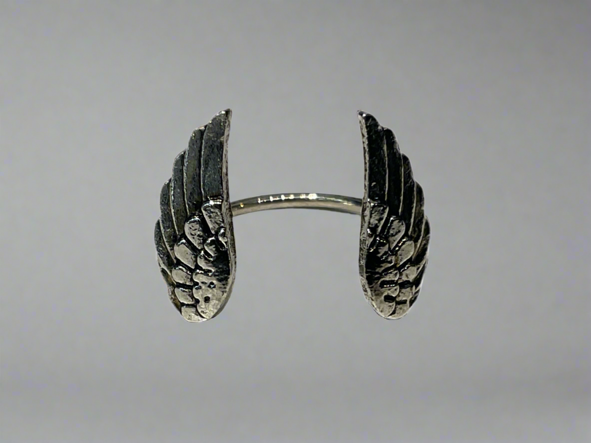 Silver Angel Wings
