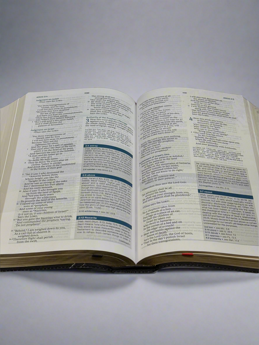 Word Study Bible NKJV Ref. Bible