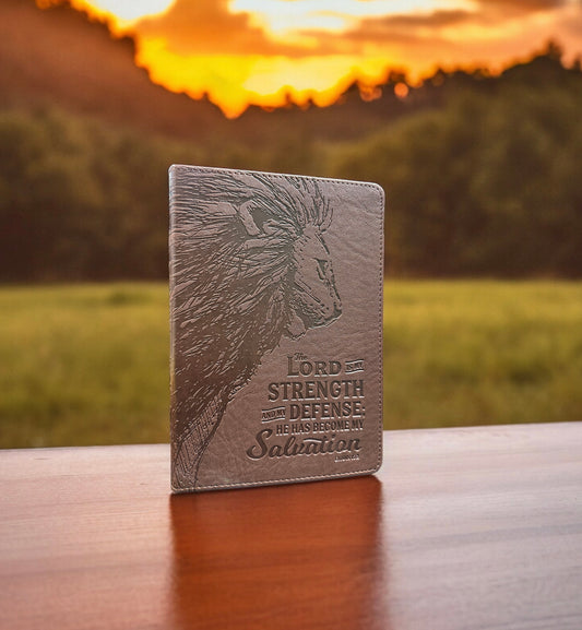 The Lord Is My Strength Lion