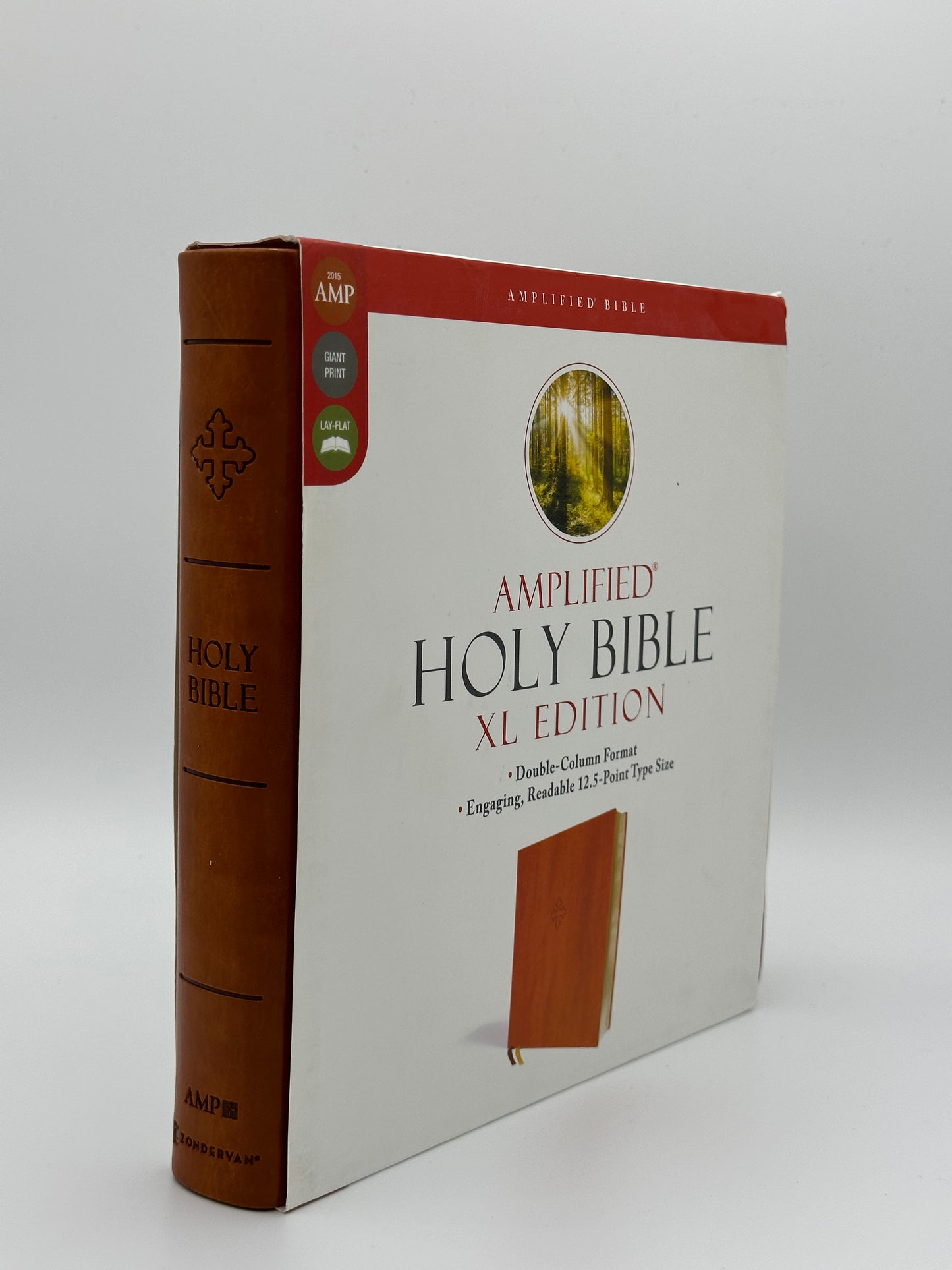 AMP Holy Bible XL Edition