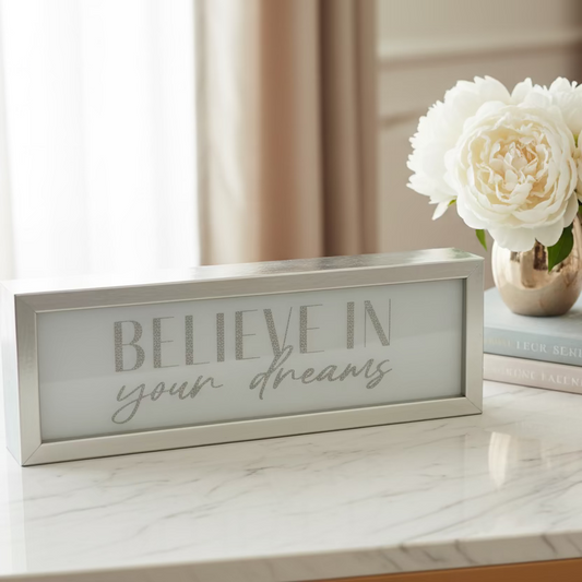 Wall Art “ Believe in your dreams”