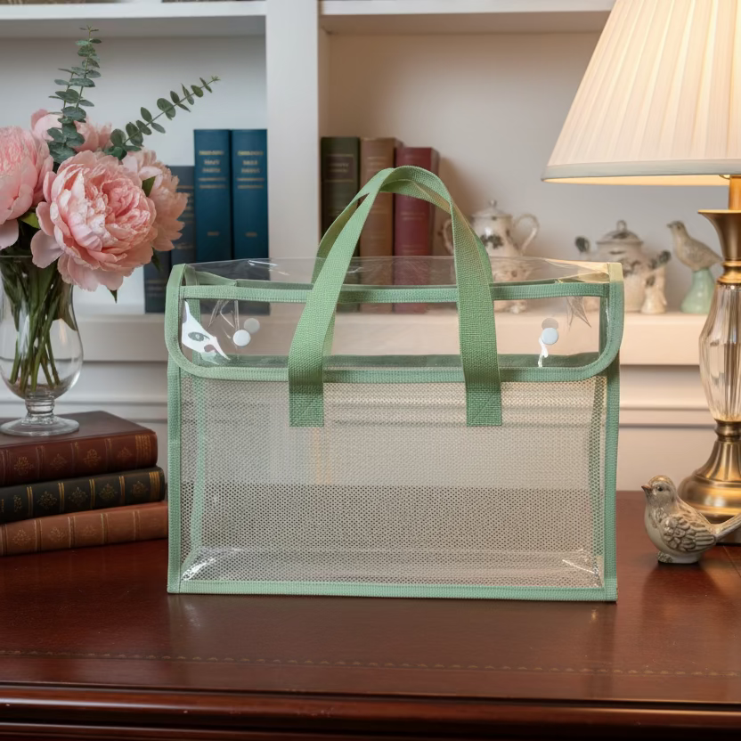 Bible bags: Clear Bible bag with Color Trim